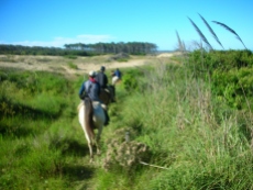 Christmas. Uruguay, Punta del Diablo. Christmas Eve horseback ride. Santa Teresa National Park.