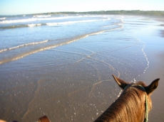 Christmas. Uruguay, Punta del Diablo. Christmas Eve horseback ride. Beach.