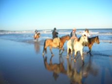 Christmas. Uruguay, Punta del Diablo. Christmas Eve horseback ride. Beach.